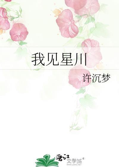 我见星河简介