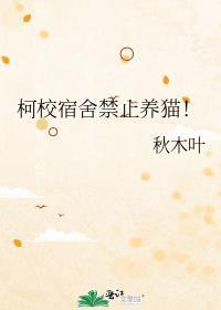 学校宿舍养猫