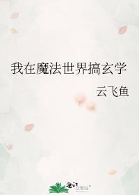 我在魔法世界搞建设
