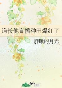 打怪掉落五条猫猫之后怎么办