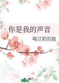 你是我的声音何洁