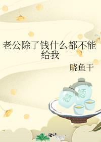 老公除了钱什么都不能给我花