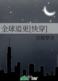 全球追击