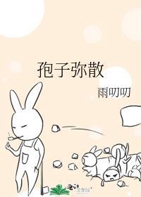 孢子悬液