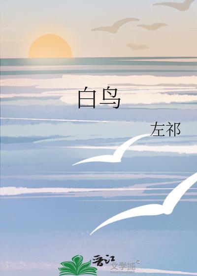 白鸟什么什么四字成语