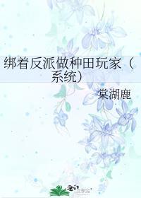 绑着反派做种田玩家（系统）