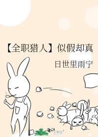 【全职猎人】似假却真