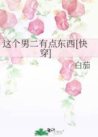 这个男二有点东西[快穿]
