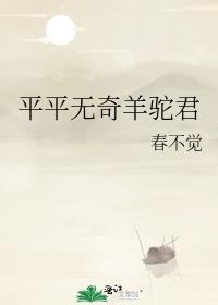 平平无奇羊驼君