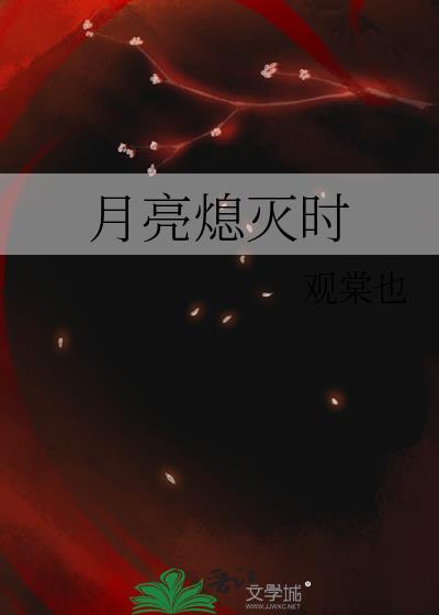 月亮熄灭时