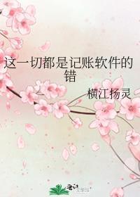 这一切都是记账软件的错
