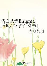 告白认错Enigma后顶A怀孕了[穿书]