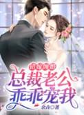 错嫁缠婚:总裁老公乖乖宠我