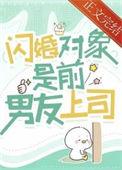 闪婚对象是前男友上司