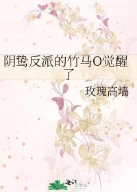 林想起陆琮