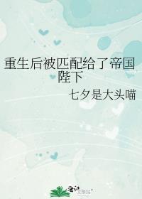 重生后被匹配给了帝国陛下
