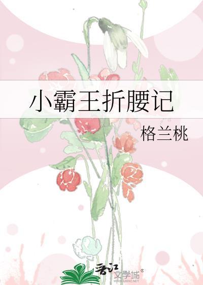 小霸王折腰记