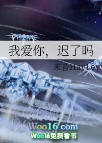 我爱你迟了吗