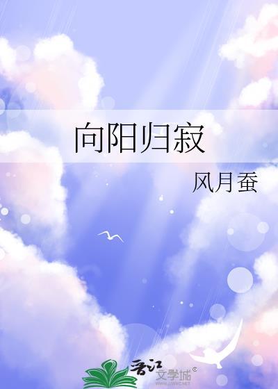 向阳归寂
