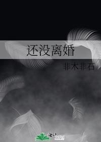 还没离婚