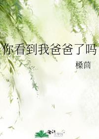 你看到我爸爸了吗