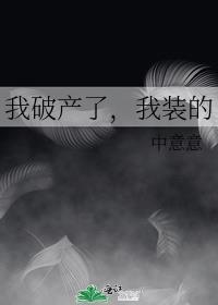 我破产了,我装的
